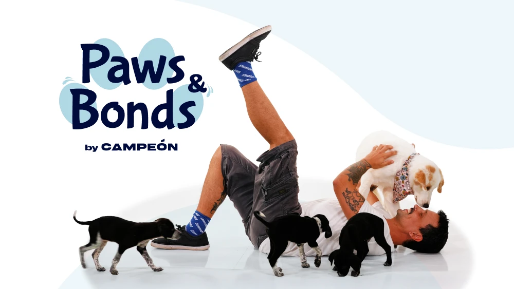 Paws & Bonds